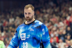 Bundesliga Handball MT Melsungen