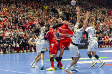 Bundesliga Handball MT Melsungen