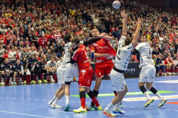 Bundesliga Handball MT Melsungen