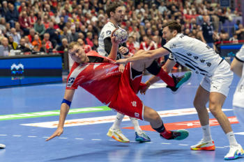 Bundesliga Handball MT Melsungen