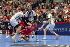 Bundesliga Handball MT Melsungen