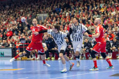 Bundesliga Handball MT Melsungen